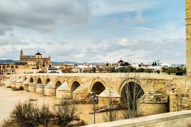Private tour to Córdoba from Seville (several options) - Key Points