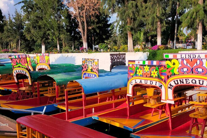 Private Tour to Coyoacán & Xochimilco. - The Practical Side: What Makes This Tour Work