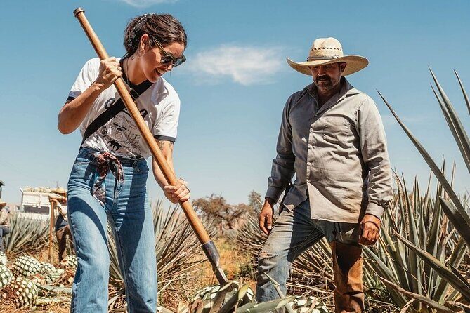 Private Tour to Distillery Tequila Ocho and Arandas - Discovering the Heart of Tequila: Private Tour to Tequila Ocho and Arandas