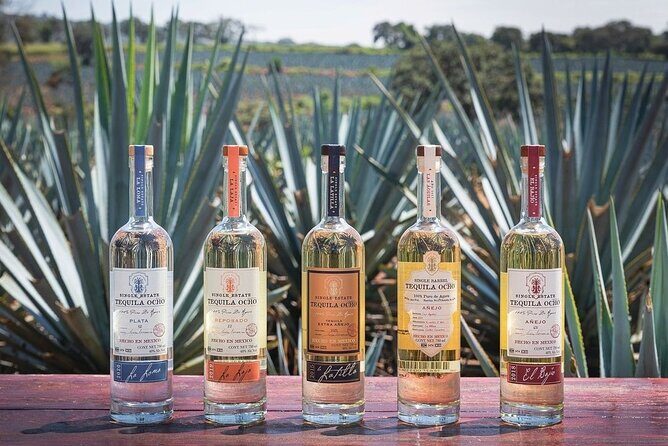 Private Tour to Distillery Tequila Ocho and Arandas - Key Points
