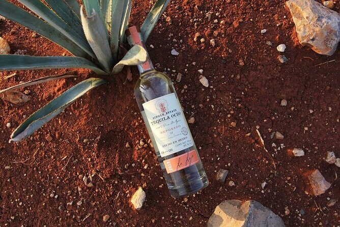 Private Tour to Distillery Tequila Ocho and Arandas - Who Should Consider This Tour?