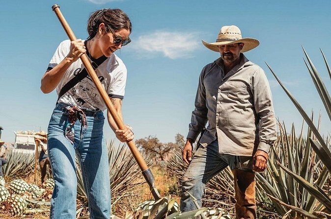 Private Tour to Distillery Tequila Ocho and Arandas - Final Thoughts