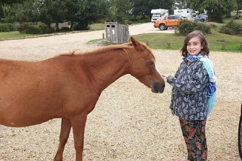 Private tour to Durdle Door, Corfe Castle, New Forest - An In-Depth Look at the Tour Experience