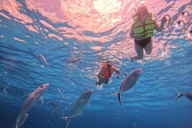 Private Tour to El Cielo and El Cielito and Palancar Cozumel - Final Thoughts