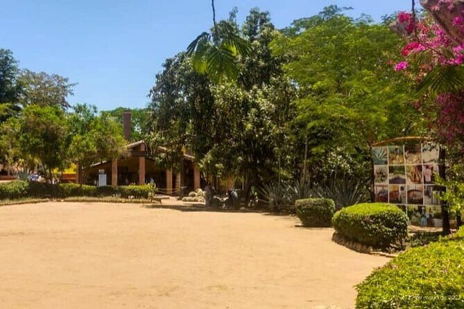 Private Tour to El Quelite Village and Tequila Distillery from Mazatlan - Lunch and the Village of El Quelite