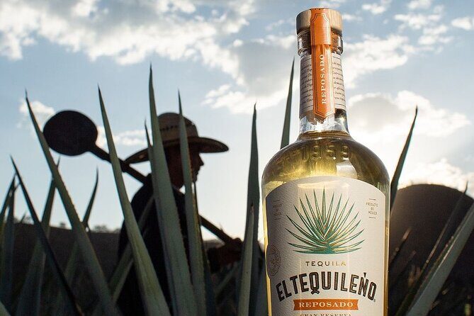 Private Tour to El Tequileño Distillery and visit to Tequila - Key Points