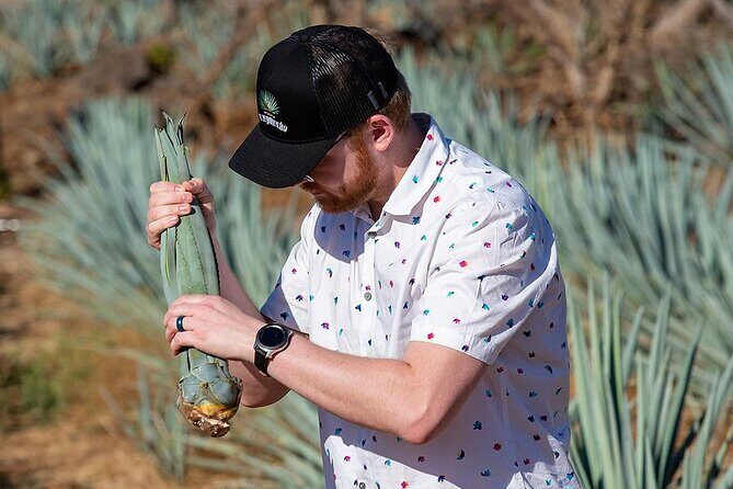 Private Tour to El Tequileño Distillery and visit to Tequila - FAQ