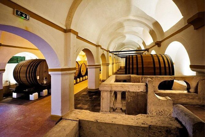 Private tour to Evora with optional wine tasting in the cartucha - Who Will Love This Tour?