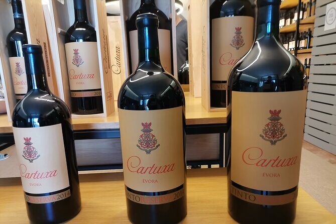 Private Tour to Evora with wine tasting at the Cartuxa Winery - The Practical Side: What to Expect and Considerations