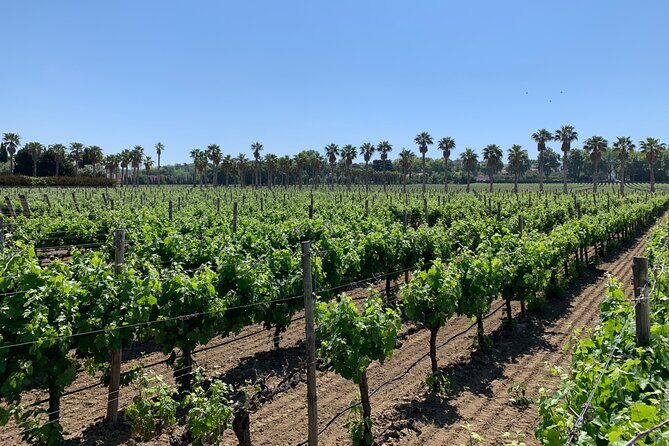 Private tour to Fatima, Nazare and Obidos - A Closer Look at the Itinerary