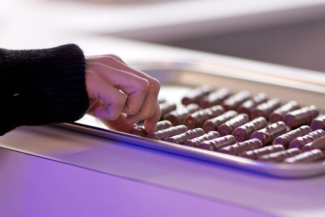 Private Tour to Gruyères, Chocolate & Cheese Factory from Geneva - A Good Look at the Private Swiss Food & Culture Tour from Geneva