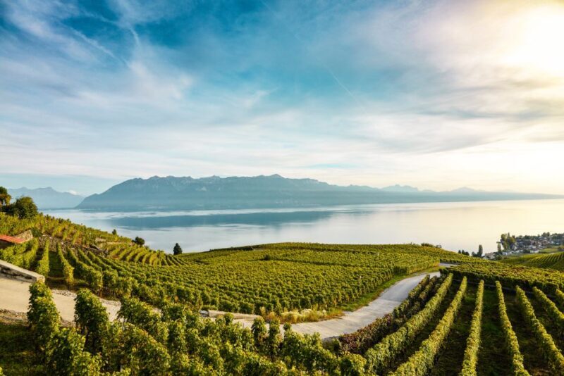 Private Tour to Gruyeres with Cheese and Chocolate Factory - Key Points