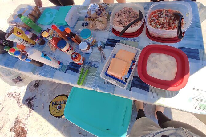 Private Tour to Isla Espiritu Santo and snorkel with sea lions - Who Should Consider This Tour?