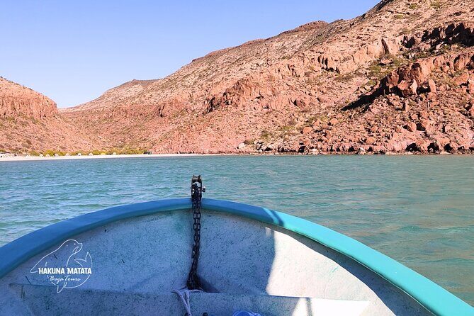 Private Tour to Isla Espiritu Santo and snorkel with sea lions - Final Thoughts