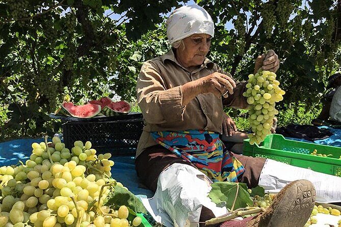 Private tour to Khor Virap, Ararat view - Final Thoughts