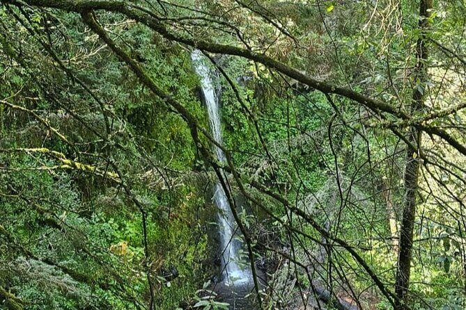 Private Tour to Los Diamantes Waterfall from CDMX - Who Should Consider This Tour?