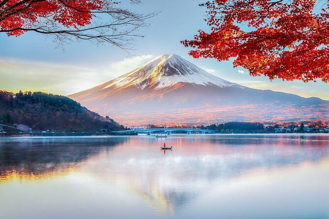 Private Tour to Mt. Fuji and Hakone (Fully Licenced Operator) - Understanding the Value: What $497 Actually Gets You