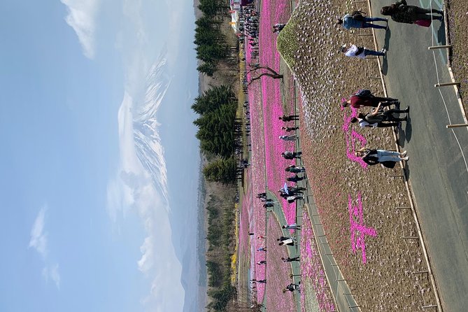 Private Tour to Mt. Fuji and Hakone (Fully Licenced Operator) - The Value Proposition: Who Should Book This