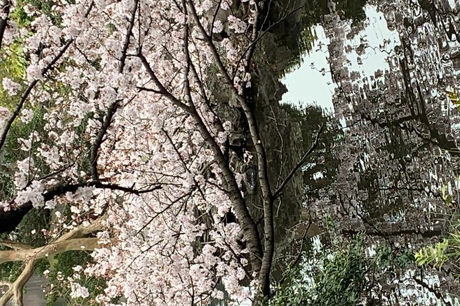 Private Tour to Mt. Fuji and Hakone (Fully Licenced Operator) - Frequently Asked Questions