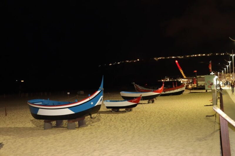 Private Tour to Nazaré & Alcobaça, giant waves and monastery - Final Thoughts