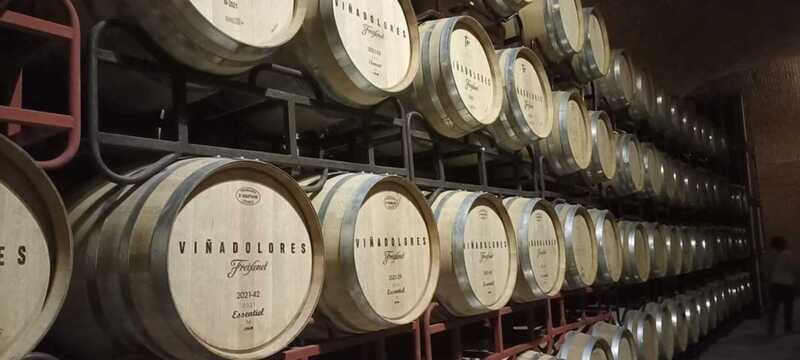 Private tour to Peña de Bernal & Freixenet Winery from CDMX - Key Points