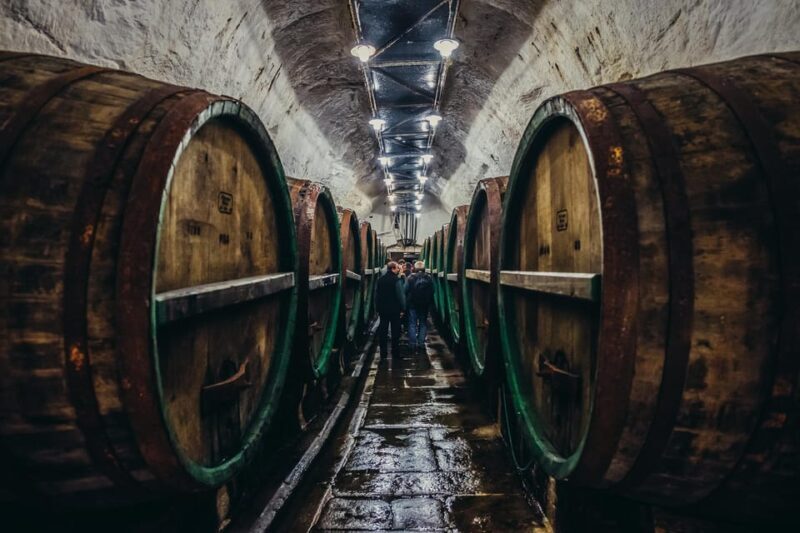 Private Tour to Pilsner Urquell from Prague - Who Is This Tour Best For?