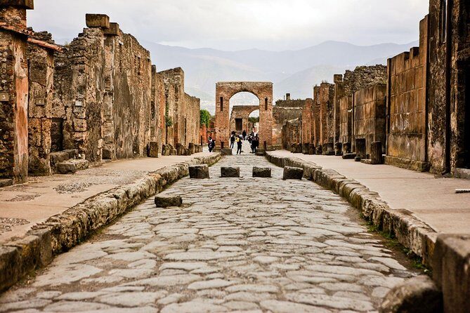 Private tour to Pompeii Herculaneum and Vesuvius - The Pros and Cons of This Tour
