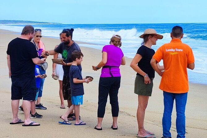 Private tour to release turtles with tickets included - Key Points