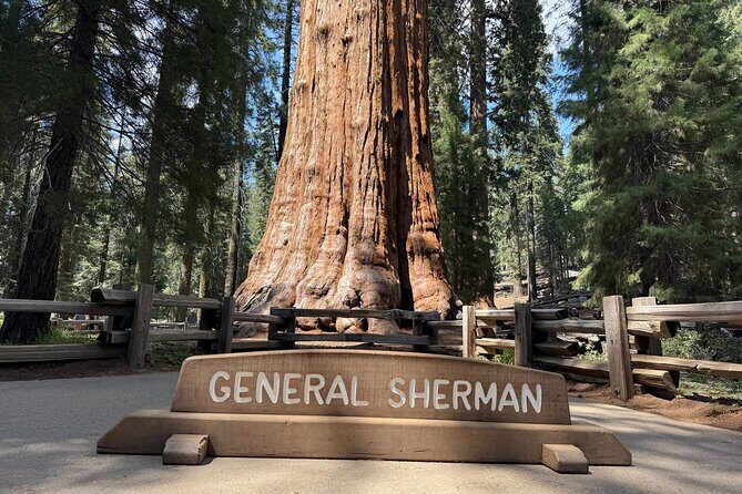 Private Tour to Sequoia and Kings Canyon National Parks - Key Points