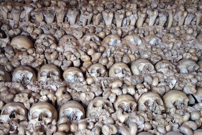 Private Tour to Silves Castle Old Town stop at Chapel of Bones - Who Will Love This Tour?