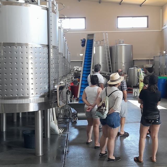 Private Tour to Silves Castle Whith Algarvian Wine Tasting - Tasting Algarve: Wine and Local Flavors