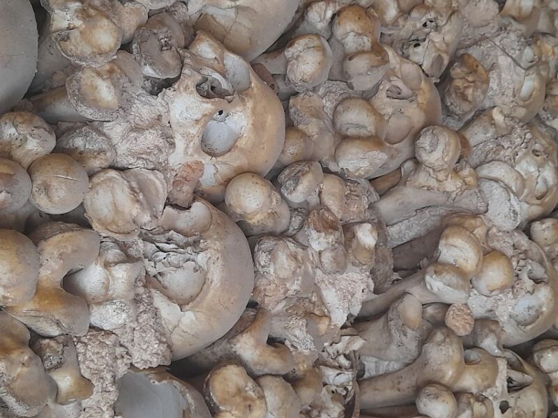 Private Tour to Silves Castle Whith Algarvian Wine Tasting - Who Should Consider This Tour?