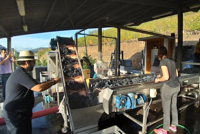 Private Tour to stunning Douro Valley and most renowned wineries - Final Thoughts: Is It Worth It?