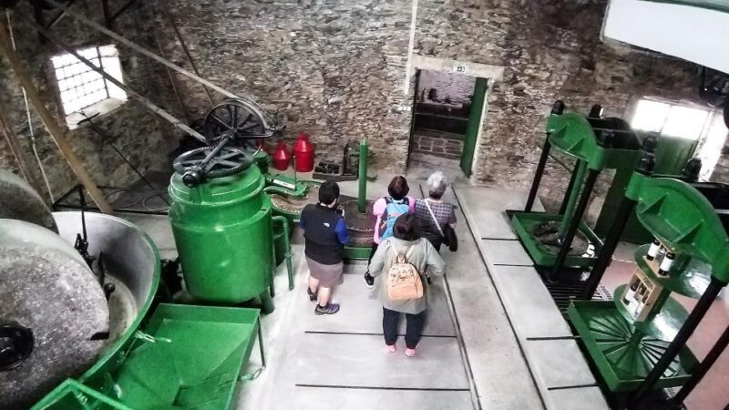 Private Tour to stunning Douro Valley and renowned wineries - Who Should Consider This Tour?