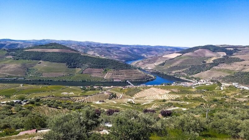Private Tour to stunning Douro Valley and renowned wineries - FAQs
