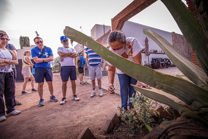 Private Tour to Teotihuacán and the Basilica of Guadalupe - Final Thoughts