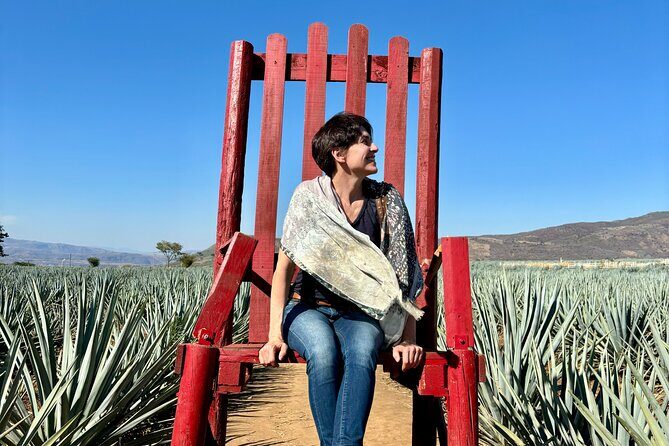 Private Tour to Tequila and Guachimontones - The Experience and What Travelers Say