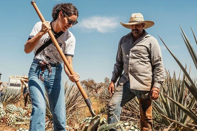 Private Tour to Tequila Ocho Distillery and the Town of Arandas - What’s Included and What’s Not