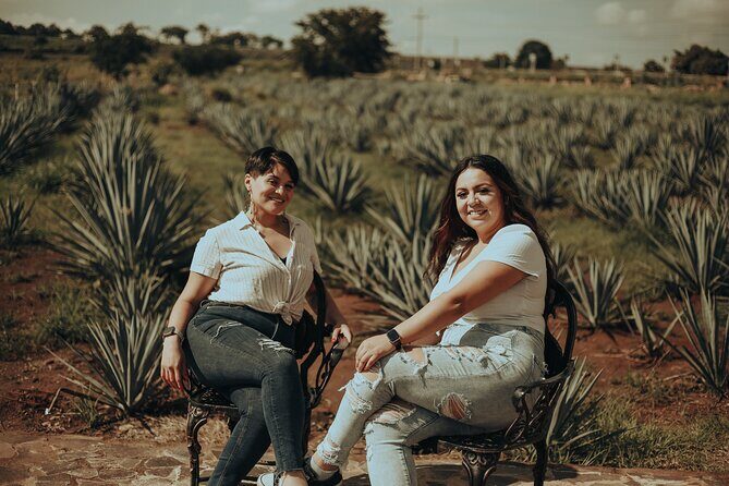 Private Tour to Tequila with tasting, liquors and visits. - Who Would Love This Experience?