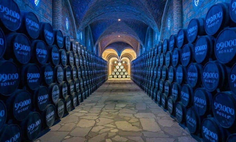 Private Tour to Tequilera Corralejo and Piramides Zone - A Close Look at the Itinerary: What You Can Expect