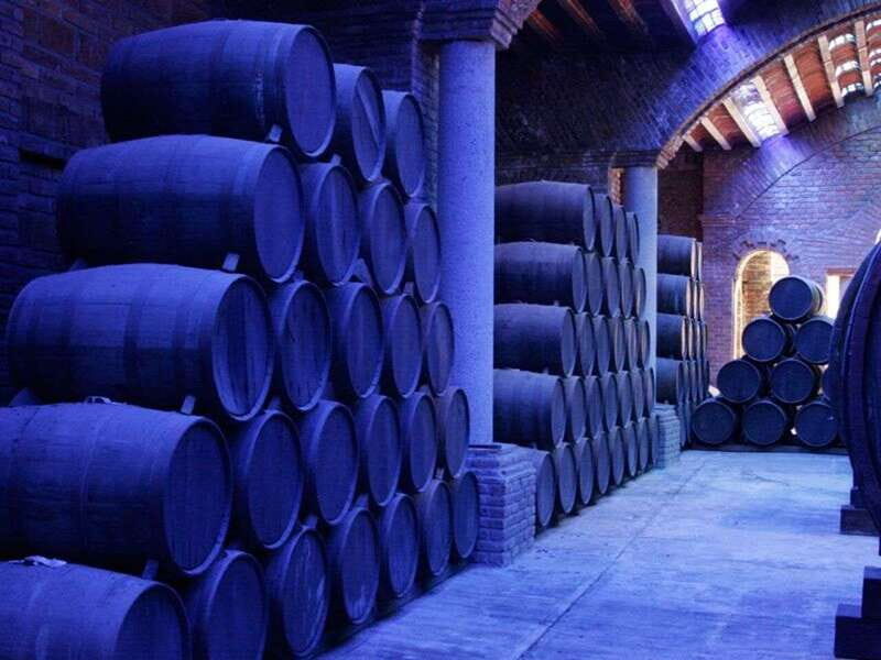 Private Tour to Tequilera Corralejo and Piramides Zone - FAQ