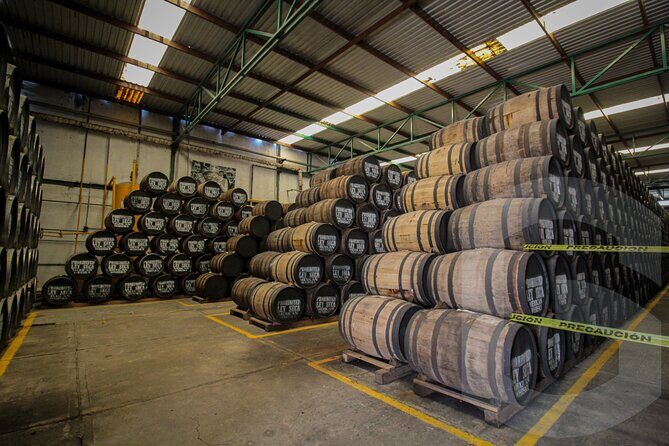 Private Tour to Tequilera Corralejo and Piramides Zone - How This Tour Balances History, Culture, and Flavor