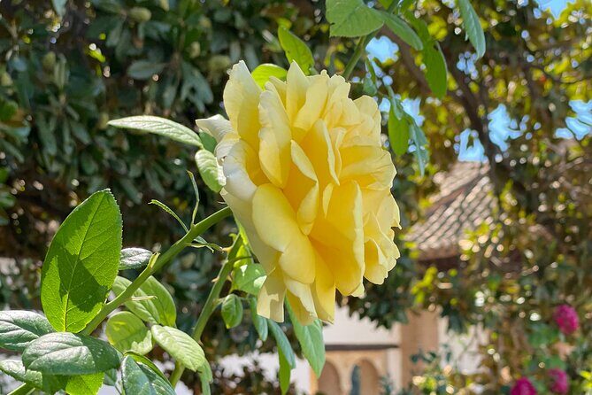 Private Tour to The Alhambra and Generalife from Motril port - FAQ