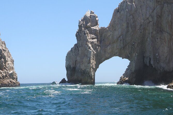 Private Tour to the Arch of Cabo San Lucas by Glass Bottom Boat - Exploring the Experience in Detail