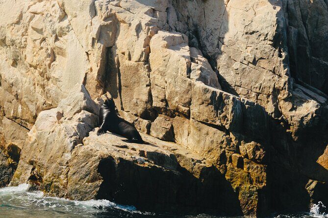 Private Tour to the Arch of Cabo San Lucas by Glass Bottom Boat - Who Is This Tour Best For?