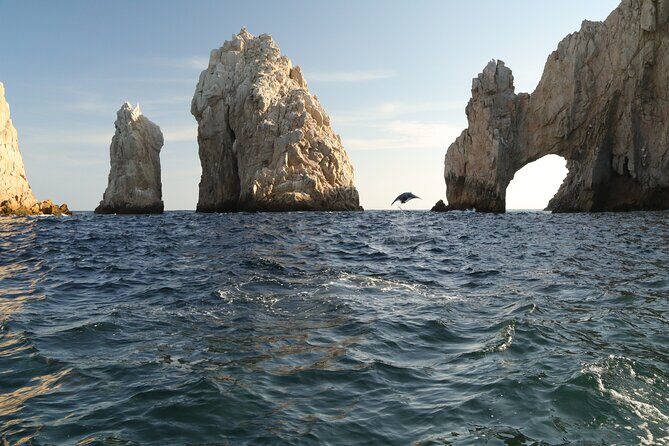 Private Tour to the Arch of Cabo San Lucas by Glass Bottom Boat - FAQ