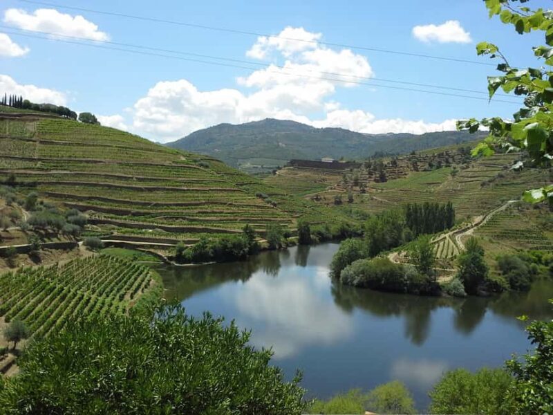 Private Tour to the Douro Valley - What Makes It Stand Out?
