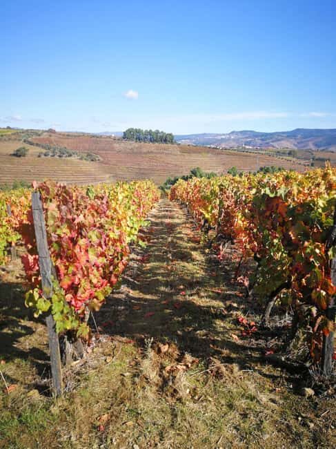 Private Tour to the Douro Valley - Final Thoughts
