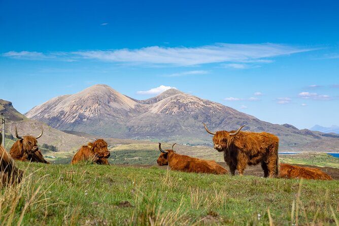 Private Tour to the Famous Glenfinnan, Glencoe & More, Inverness - The Cost and Value