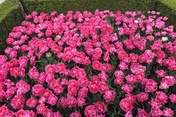 Private Tour to the Keukenhof and Tulip Fields - Who Is This Tour Best For?